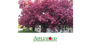 Spring blossoms at The Applewood Retirement Residence